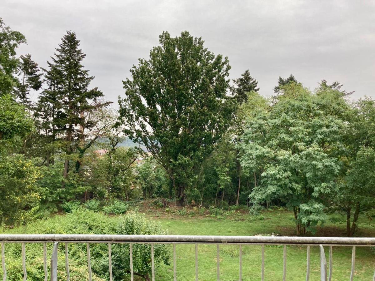 Villa Schomberg Spremberg Exterior photo